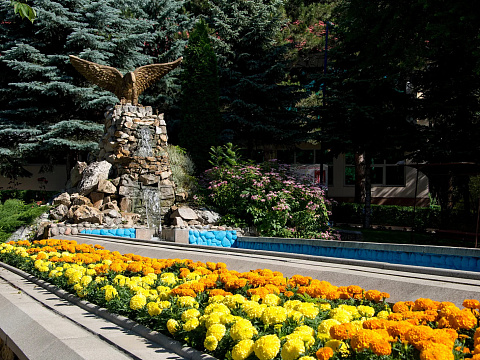 Санаторий «Лесной», Железноводск. Территория